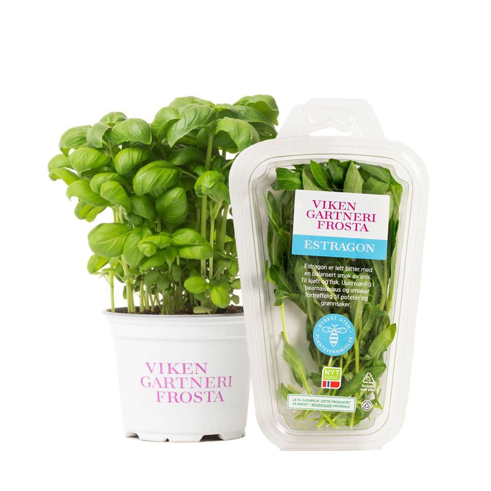 Krydderurter fra Viken Gartneri