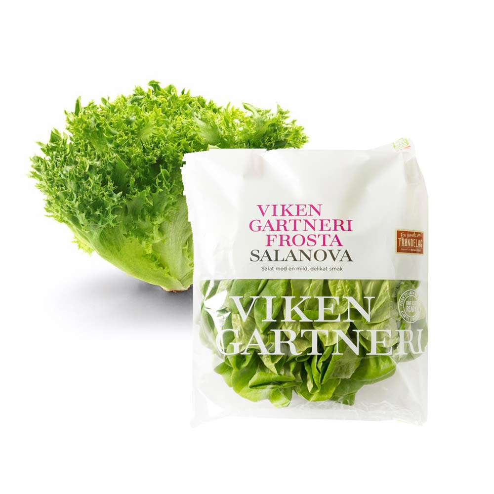 Friske salater fra Viken Gartneri
