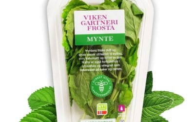 Prøv våre nye, miljøvennlige krydderurtepakninger!