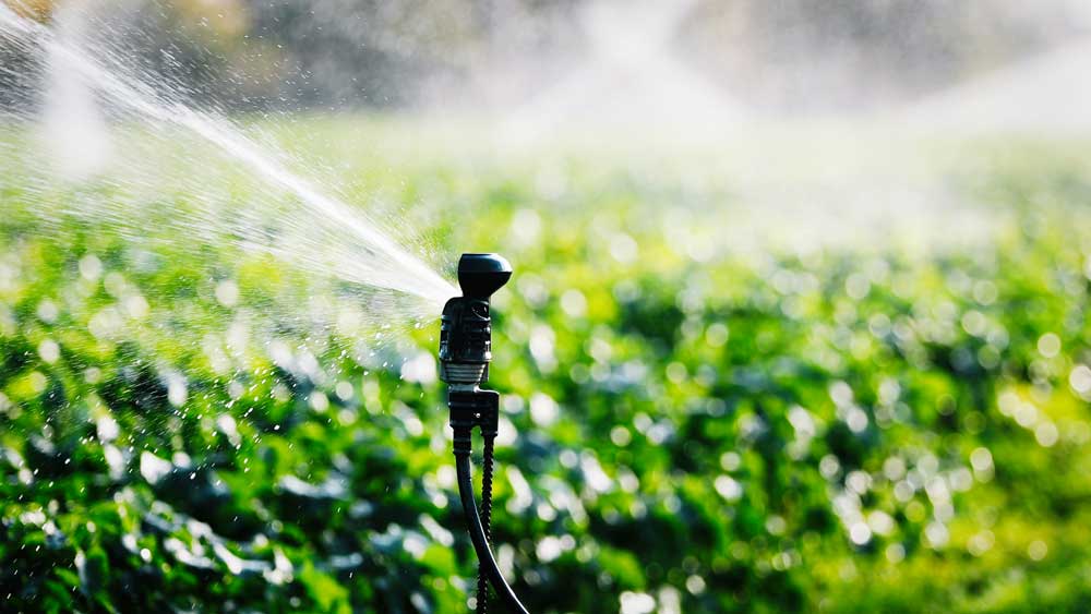 Viken Gartneri bruker miljømerket emballasje