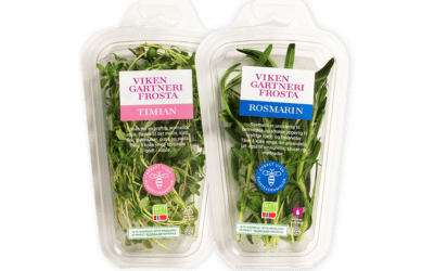 Nå kommer viltkjøttet, og hva passer bedre til de gode høstmiddagene enn Rosmarin og Timian?