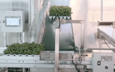 Viken Gartneri har lansert vertikalproduksjon