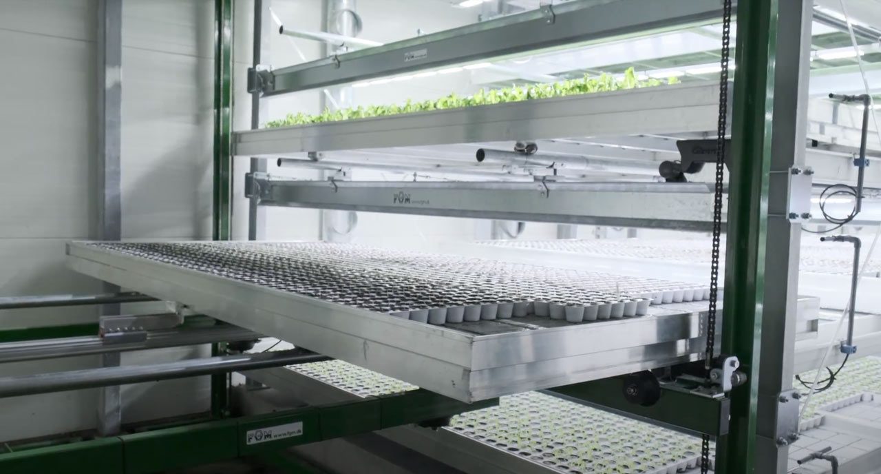 Vertiklaproduksjon hos Viken Gartneri