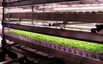 Fullt hus på Viken Gartneri sin åpning