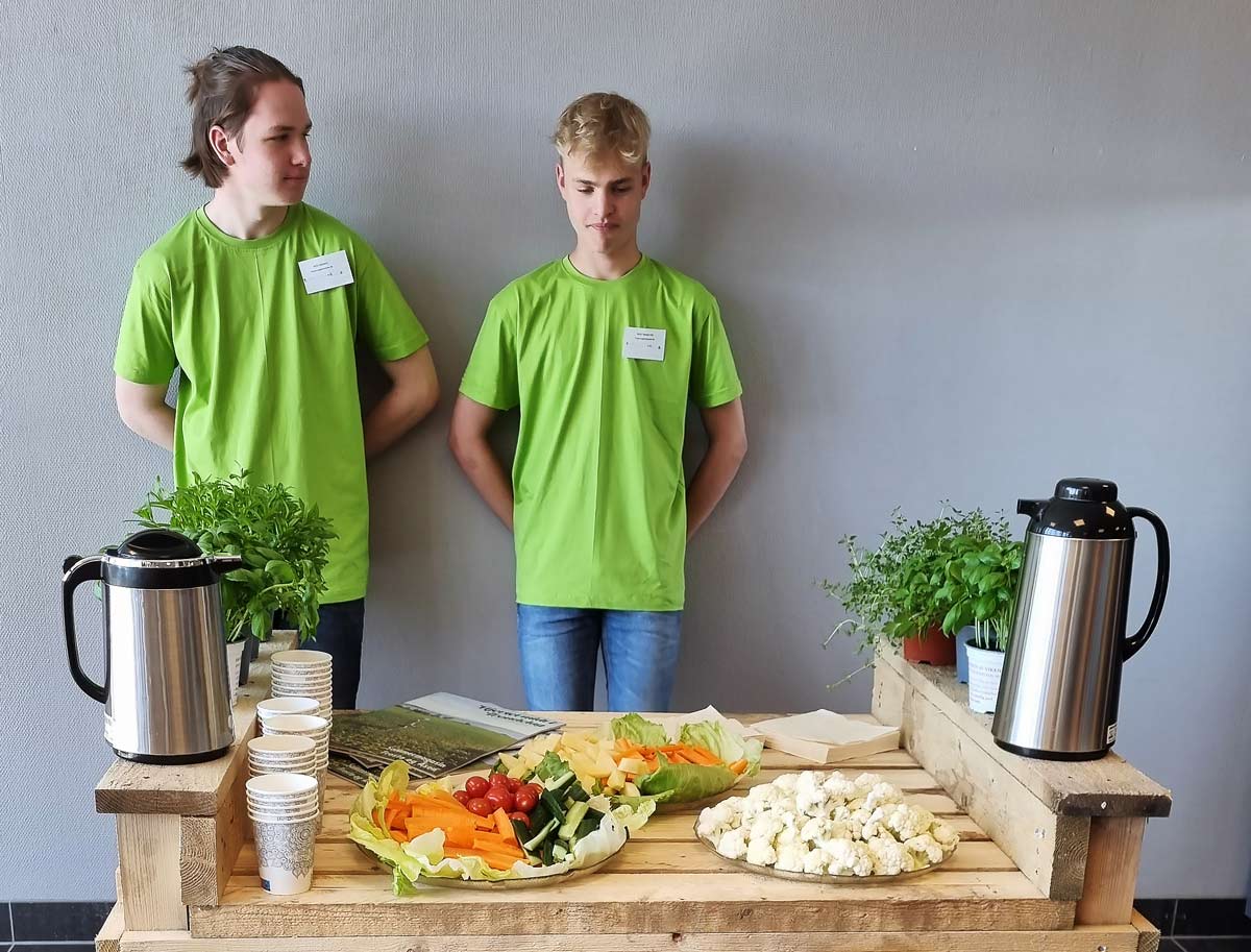 Pakking av salat på Viken Gartneri