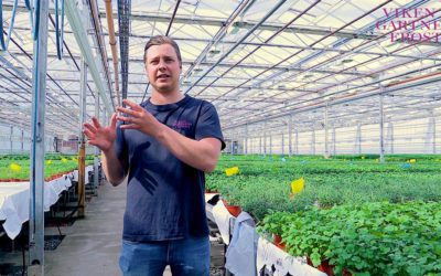 Varmegjenvinning hos Viken Gartneri Frosta