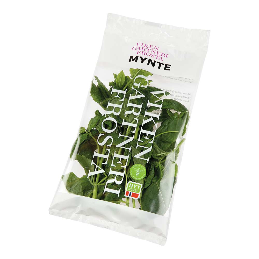 VikenGartneri porsjonspakke krydderurter mynte